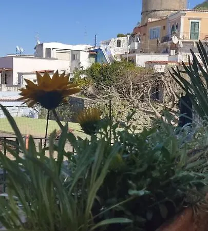Apartment Casa La Torre Forio D'ischia - Vicoli Saraceni Forio (Isola d'Ischia)
